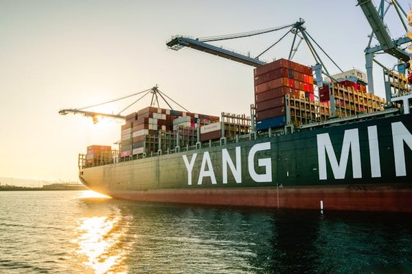 Comment organiser une excursion en bateau pour observer les dauphins roses en Amazonie?